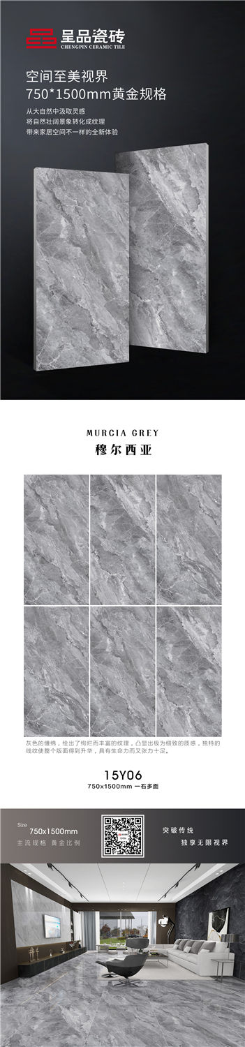 15Y06.jpg